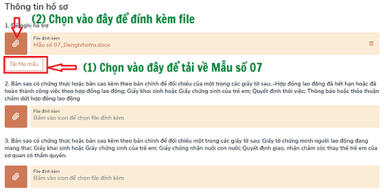 Cách nộp hồ sơ online nhận hỗ trợ Covid-19 với người lao động không đủ điều kiện nhận trợ cấp thất nghiệp - Ảnh 4.