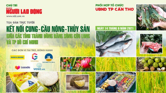 Kết nối cung - cầu nông - thủy sản giữa các tỉnh, thành ĐBSCL và TP HCM - Ảnh 1.