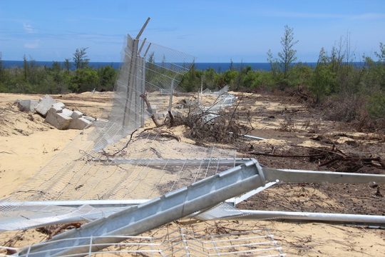 Tình tiết bất ngờ vụ phá “nhầm” 5,26 ha rừng phòng hộ ven biển Bình Định - Ảnh 3.