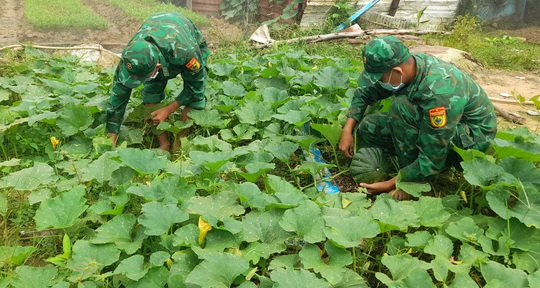 Biên phòng đảo Thổ Châu trồng rau, nuôi heo tặng dân nghèo - Ảnh 1.