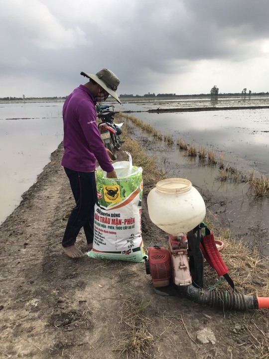 Canh tác lúa thông minh tại ĐBSCL vụ hè thu năm 2021 trong tình hình mới - Ảnh 4.