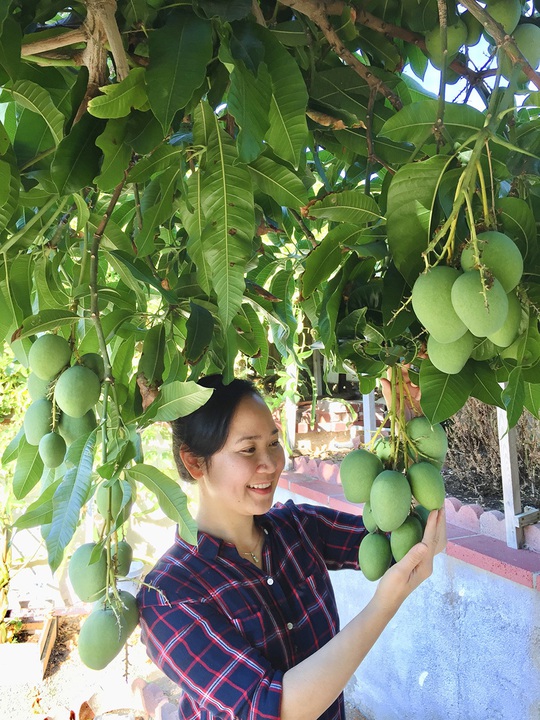 Khu vườn toàn rau trái Việt trên đất Mỹ - Ảnh 9.