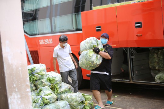 Phương Trang vận chuyển nông sản Đà Lạt gửi tặng người dân TP HCM - Ảnh 1.