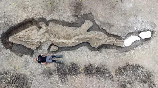 Rồng biển dài tới 10 mét, 180 triệu tuổi xuất hiện ngoạn mục ở Anh - Ảnh 1.