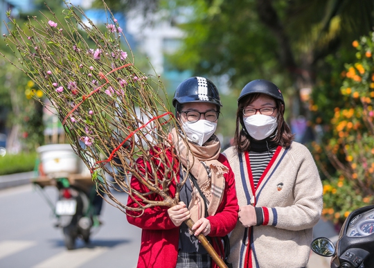 CLIP: Sức mua giảm, thị trường cây cảnh Tết ở Hà Nội ảm đạm - Ảnh 14.