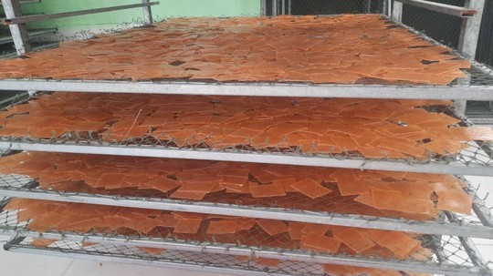 Nhộn nhịp làng nghề bánh phồng tôm đặc sản ở Cà Mau - Ảnh 6.