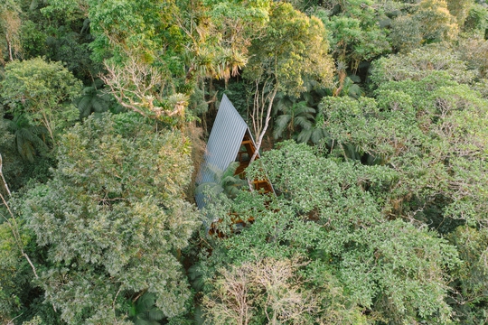 Căn nhà hình chữ A ẩn mình giữa rừng xanh - Ảnh 2.