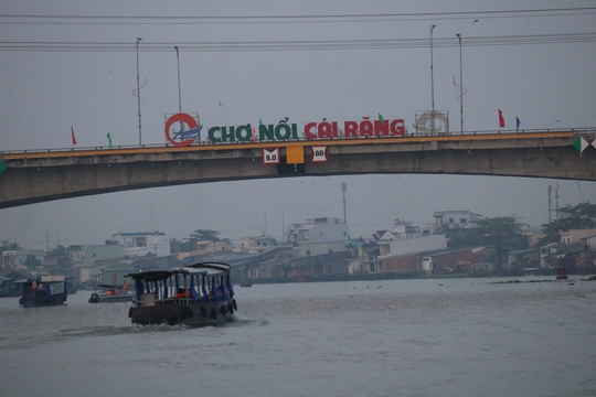 Chợ nổi Cái Răng vào Xuân - Ảnh 2.