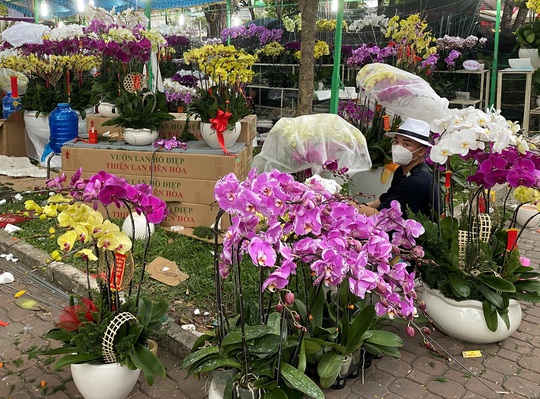 Hoa Tết ngóng người mua - Ảnh 1.