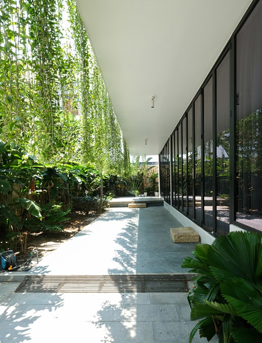 Biệt thự hiện đại 3 tầng ở Nha Trang che nắng bằng rèm dây leo - Ảnh 6.