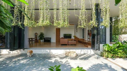 Biệt thự hiện đại 3 tầng ở Nha Trang che nắng bằng rèm dây leo - Ảnh 7.