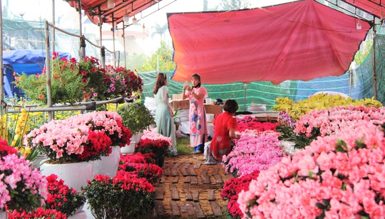 Chợ hoa Tết lớn nhất Đà Nẵng đang ế - Ảnh 8.