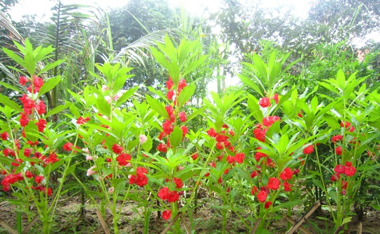 Cuộc thi bên nhau ngày Tết: Chuyến phượt hồi hương cuối năm - Ảnh 4.