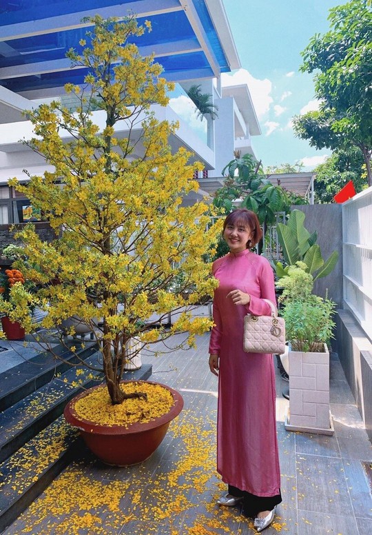 Đàm Vĩnh Hưng, Hồ Quỳnh Hương, Văn Mai Hương tái xuất đêm giao thừa - Ảnh 3.