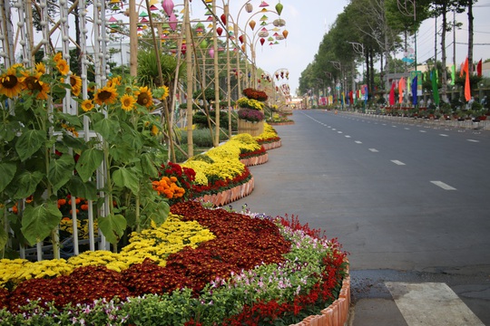 Rực rỡ đường hoa Xuân “Sen trên phố” ở Đồng Tháp - Ảnh 4.