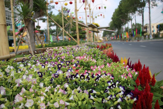 Rực rỡ đường hoa Xuân “Sen trên phố” ở Đồng Tháp - Ảnh 6.