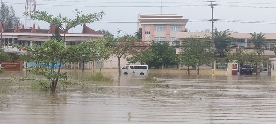 Hàng trăm héc ta thanh long tại Bình Thuận ngập sâu sau trận mưa giữa đêm - Ảnh 3.