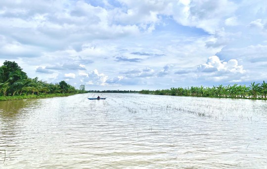Nuôi trữ cá đồng mùa nước nổi - Ảnh 2.