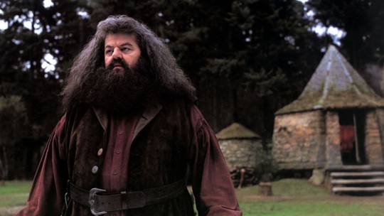 “Bác Hagrid” của loạt phim Harry Potter qua đời - Ảnh 1.
