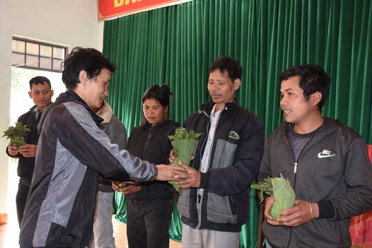 10.000 cây sâm Ngọc Linh giống đến các hộ nghèo - Ảnh 1.