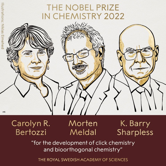 Giải Nobel Hoá học 2022: Vinh danh 3 nhà nghiên cứu Mỹ và Đan Mạch - Ảnh 1.
