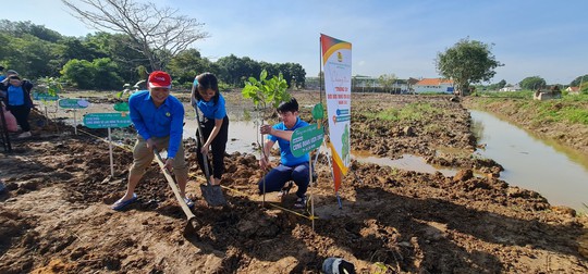Tạo mảng xanh cho thành phố - Ảnh 1.