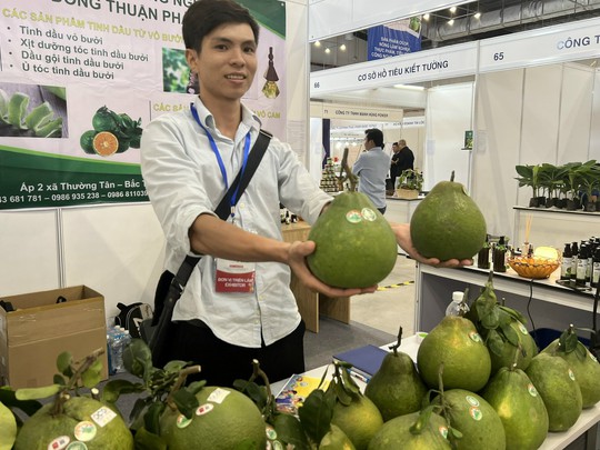Hơn 120 doanh nghiệp đem 160 gian hàng đến Bình Dương - Ảnh 2.