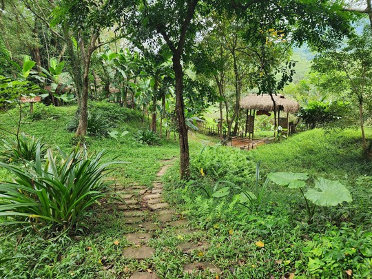 Cận cảnh thánh địa Ozo Park lấn chiếm hơn 3,6ha rừng phòng hộ Phong Nha - Kẻ Bàng - Ảnh 15.