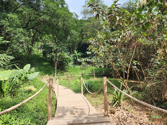 Cận cảnh thánh địa Ozo Park lấn chiếm hơn 3,6ha rừng phòng hộ Phong Nha - Kẻ Bàng - Ảnh 4.