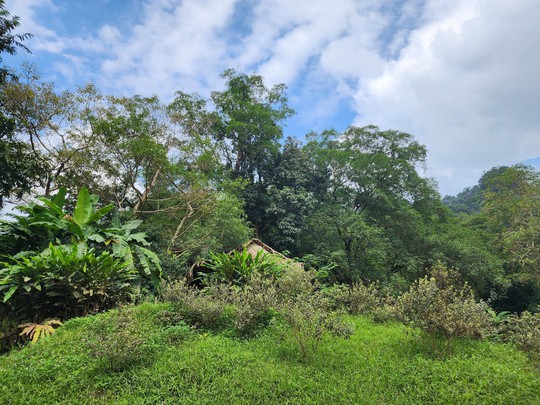 Cận cảnh thánh địa Ozo Park lấn chiếm hơn 3,6ha rừng phòng hộ Phong Nha - Kẻ Bàng - Ảnh 5.