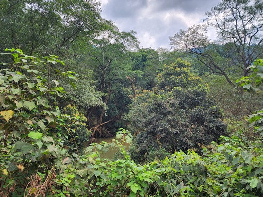 Cận cảnh thánh địa Ozo Park lấn chiếm hơn 3,6ha rừng phòng hộ Phong Nha - Kẻ Bàng - Ảnh 7.