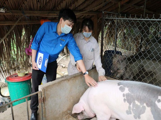 CEP tích cực thúc đẩy tài chính toàn diện cho người thu nhập thấp - Ảnh 1.