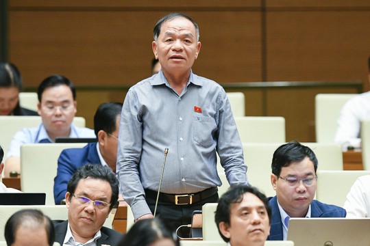 Đại biểu Lê Thanh Vân chất vấn về cơ chế bảo vệ cán bộ dám nghĩ, dám làm - Ảnh 1.