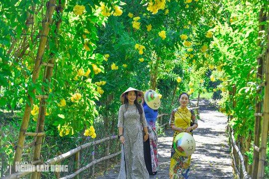 Ngất ngây với con đường hoa vàng rực ở Lam Kinh - Ảnh 6.