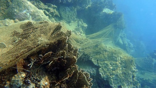 Kế hoạch tổng thể phục hồi Khu bảo tồn biển vịnh Nha Trang - Ảnh 1.