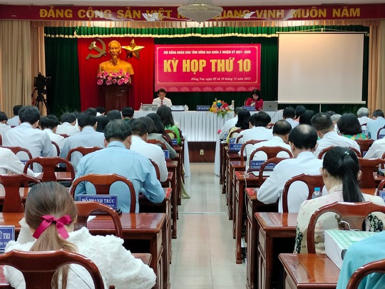 Đồng Nai chi hơn 889 tỉ đồng hỗ trợ nhân viên y tế - Ảnh 1.