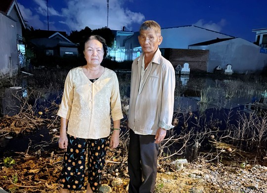 Tỉnh Khánh Hòa yêu cầu TP Nha Trang kiểm tra việc thi hành án của người dân - Ảnh 1.