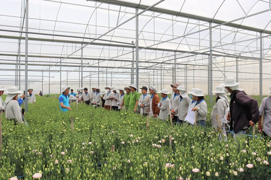 Yara Việt Nam hưởng ứng mạnh mẽ mục tiêu phát triển bền vững nông nghiệp Việt - Ảnh 1.