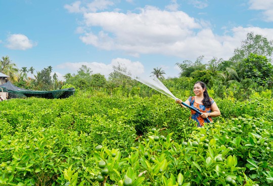 Khởi động chợ Hoa Xuân Bình Điền 2023 - Ảnh 1.