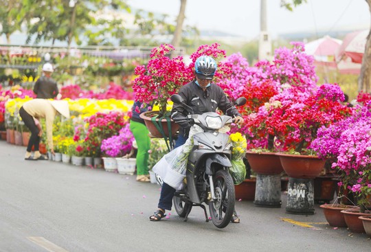 Khởi động chợ Hoa Xuân Bình Điền 2023 - Ảnh 2.