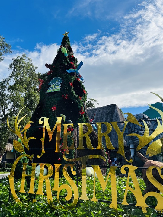 Những điểm vui chơi cực chất dịp Noel và Tết Dương lịch 2023 - Ảnh 27.