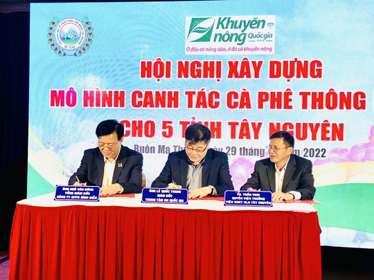 Bình Điền tổ chức xây dựng mô hình Canh tác cà phê thông minh cho 5 tỉnh Tây Nguyên - Ảnh 1.