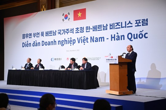 Chủ tịch nước: Hợp tác doanh nghiệp Việt - Hàn sẽ mang đến luồng sinh khí mới - Ảnh 1.