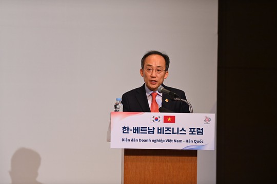 Chủ tịch nước: Hợp tác doanh nghiệp Việt - Hàn sẽ mang đến luồng sinh khí mới - Ảnh 4.