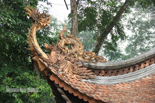 Bên trong Chính điện bằng gỗ lim lớn nhất Việt Nam có gì đặc biệt? - Ảnh 8.