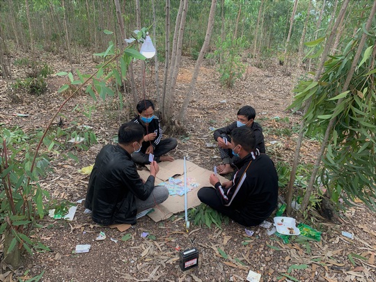Quảng Bình: Bắt quả tang 4 thanh niên rủ nhau vào rừng tràm làm chuyện phi pháp - Ảnh 1.