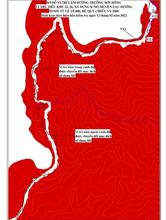 Yêu cầu dừng phá rừng để mở đường ở Vườn Quốc gia Bidoup - Núi Bà - Ảnh 2.
