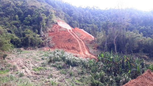 Đoàn công tác của Bộ Quốc phòng kiểm tra vụ phá rừng đặc dụng làm đường Trường Sơn Đông - Ảnh 2.