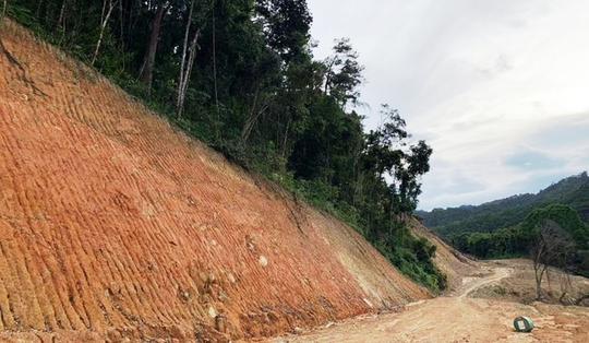 Đoàn công tác của Bộ Quốc phòng kiểm tra vụ phá rừng đặc dụng làm đường Trường Sơn Đông - Ảnh 1.