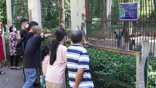 Thảo Cầm Viên Sài Gòn nhộn nhịp đón khách, miễn phí trẻ em dưới 1,3 m - Ảnh 16.